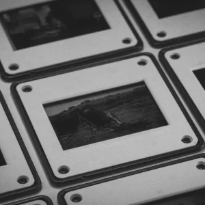 Slide digitising of a selection of plastic framed slides